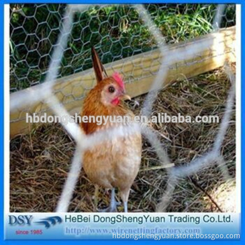 Hot Sale!Anping galvanized hexagonal wire mesh/1 inch galvanized welded wire mesh